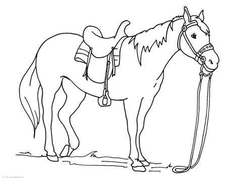 Hard Coloring Pages Of Horses At Getdrawings Free Download
