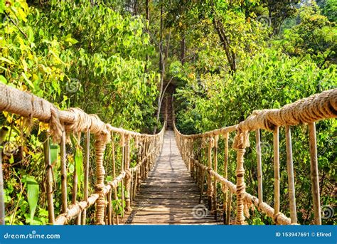 Beautiful Footbridge Made From Rope And Bamboo Stock Image Image Of