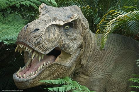 46 Jurassic Park T Rex Wallpaper On Wallpapersafari
