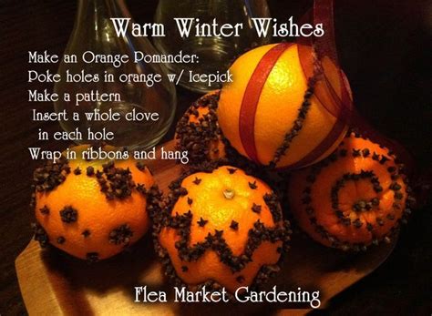 Read webtoon online at webtoon xyz. Orange & Clove Pomanders The English word "pomander" comes ...