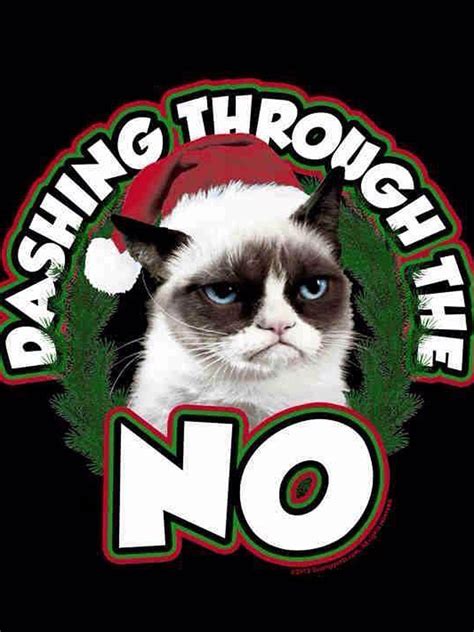 Xmas Grumpy Cat Christmas Memes Its Meme Cats
