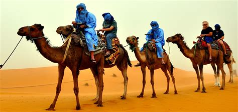 Camel Ridersdesertafricacultural Experiencesand Free Image From