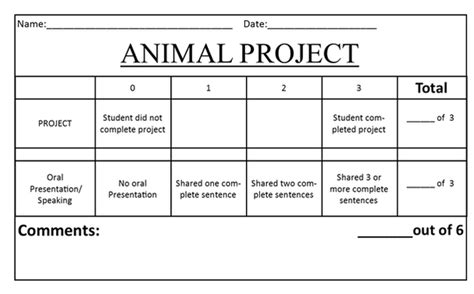 Animal Research Bracken 1st Grade
