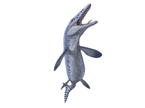 Fossil Of Jurassic Worlds “sea Monster” Found South Of Lethbridge