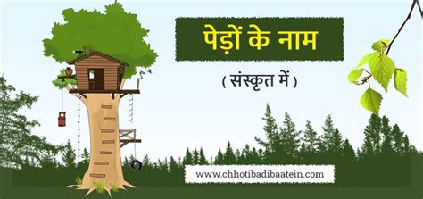 पेड़ों के नाम संस्कृत में Names Of Trees In Sanskrit