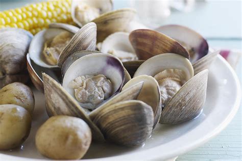 Tips For Cooking Fresh Clams Clam Recipes How To Cook Clams Steamed Clams Recipe