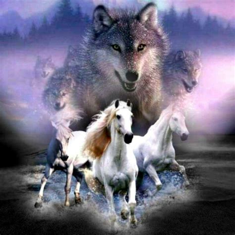 Native American Drawing Native American Wolf Native American Pictures