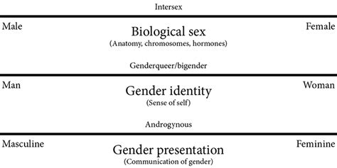 Racgp Gender Dysphoria