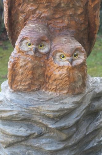 Schnitzen sie selbst eine eule aus holz. Eule