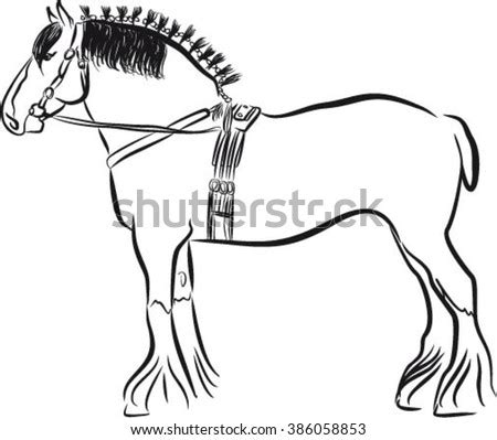 heavy horse stock  images pictures shutterstock