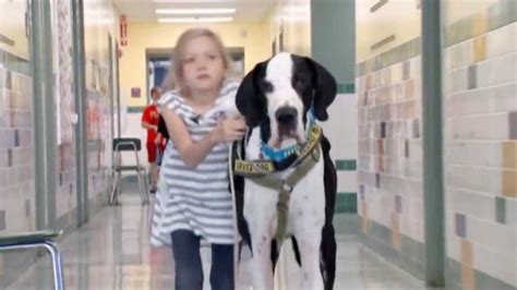 Video Shows Gorgeous Disabled Girl Relying On Dutiful Dog