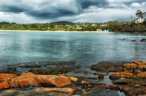 Landscape Of Greens Beach In Tasmania Australia Image Free Stock