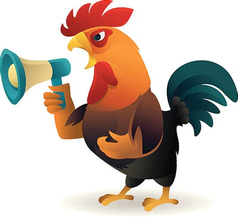 Best Angry Rooster Illustrations Royalty Free Vector Graphics And Clip