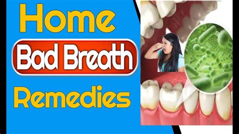 10 bad breath home remedies bad breath treatment youtube