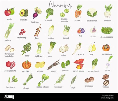 November Fruit And Vegetables Seasonal Calendar Stock Photo Alamy