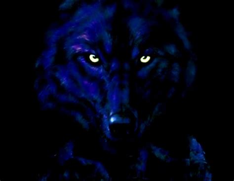 Abstract Wolf Wallpapers Top Free Abstract Wolf Backgrounds