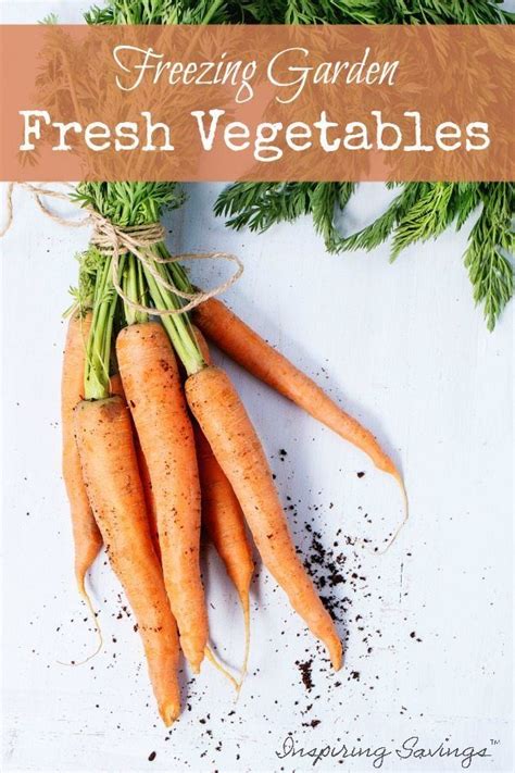 How To Freeze Fresh Vegetables Preserving Your Harvest Freezing