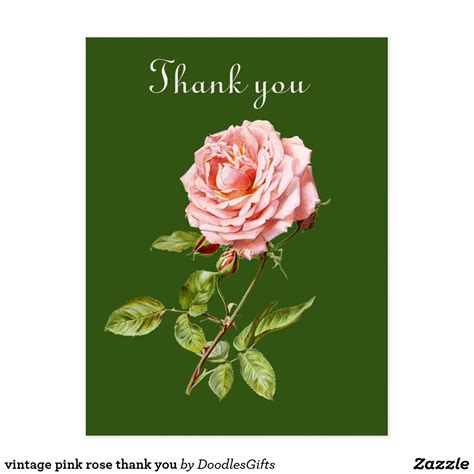 Vintage Pink Rose Thank You Postcard Thank You Postcards