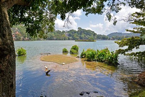 Kandy Lake Kandy Sri Lanka Stock Photo Image Of Buddhism Travel