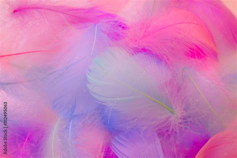 Beautiful Abstract Blue Orange Green Yellow And Purple Feathers On