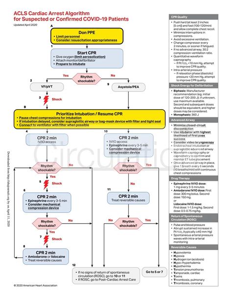 Resuscitation Guidelines For Adults Children And Neonates With