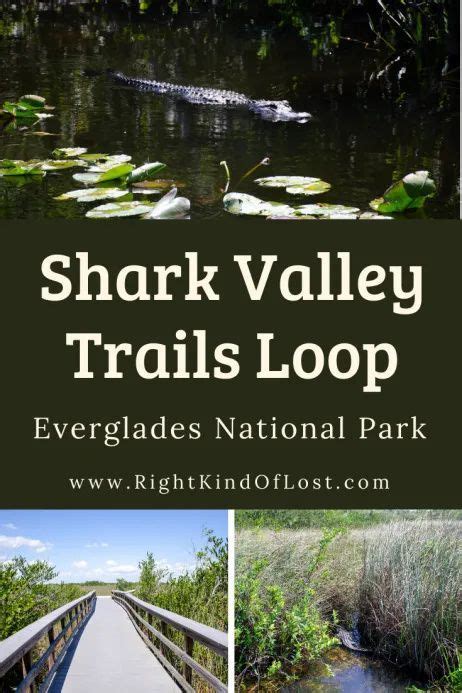 Shark Valley Trails Loop Right Kind Of Lost Everglades National