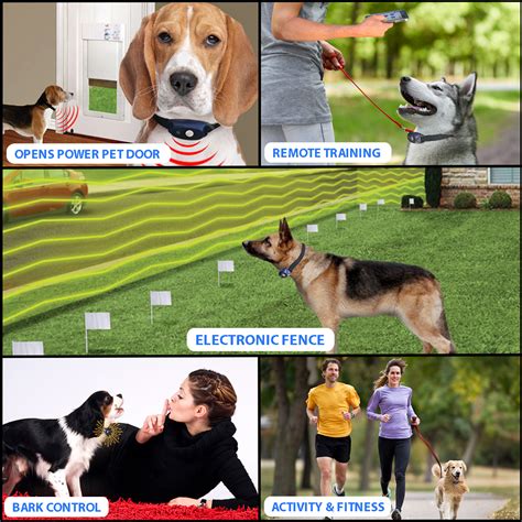 The extreme dog fence is a great way to keep your pup where he belongs. Bluefang X-30 Electronic Dog Fence Training No-Bark Fitness