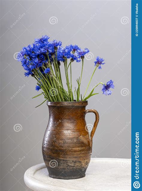 Bouquet Of Blue Cornflowers In Vase Stock Image Image Of Beautiful