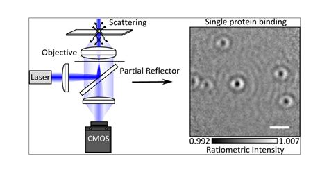 Label Free Single Molecule Imaging With Numerical Aperture Shaped