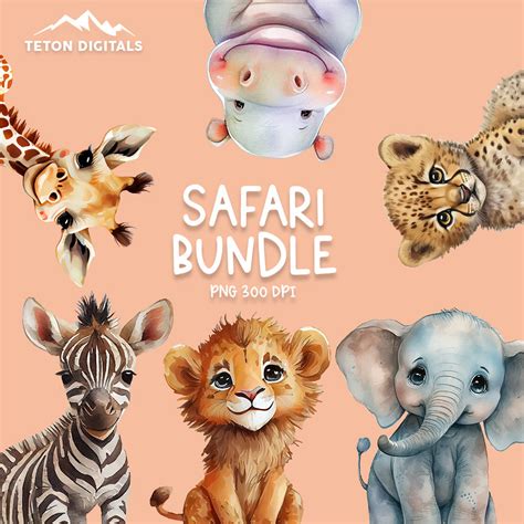 Safari Animal Clipart Png Bundle Cute Safari Animals Clipart Etsy