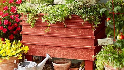 These are also very acidic, so as. 17 Best images about Lowes on Pinterest | Planters, Decks ...