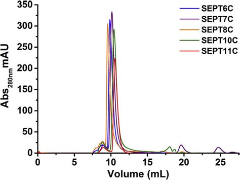 Size Exclusion Chromatography For All Individual Septin Preparations