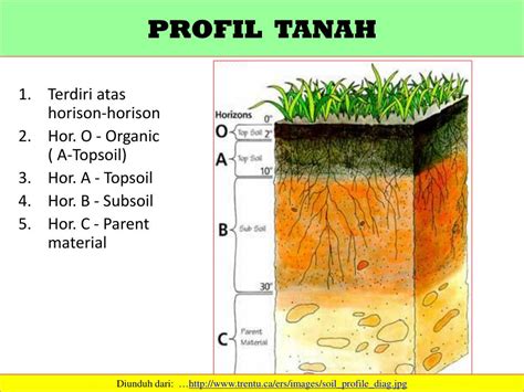 Gambarkan Profil Tanah Homecare24