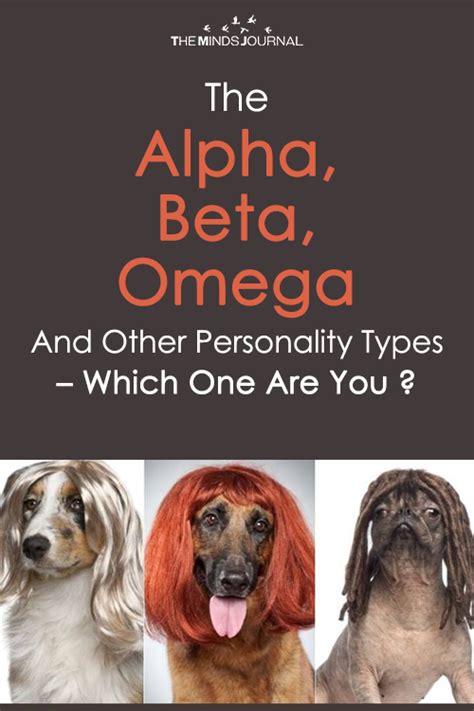Understanding The Alpha Beta Omega And Other Personality Types