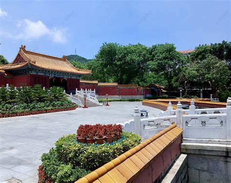 Background Foto Fotografi Perjalanan Istana Taman Kerajaan Cina Pohon