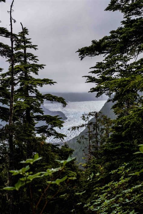 The Northern Pacific Coastal Temperate Rainforest Pctr Wooster