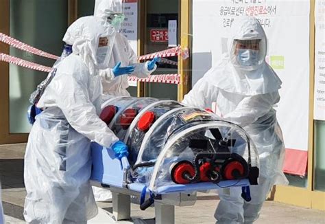 South korea coronavirus update with statistics and graphs: South Korea reports first COVID-19 death amid surge in ...
