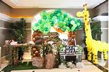 Jungle Animal Theme Party Supplies Pictures