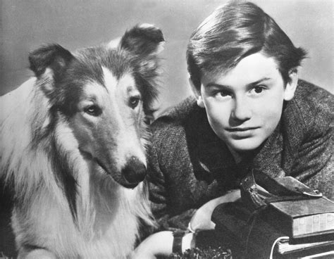 Heres What Happened To Lassie And Co Star Jon Provost