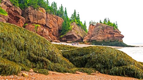 7 Best Things To Do In Bay Of Fundy For Your First Visit