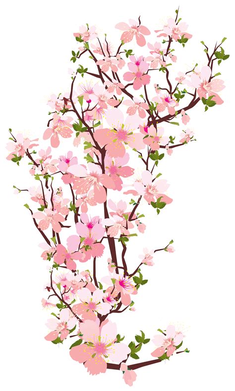 Branch Flower Clip Art Spring Png Download 45962114 Free
