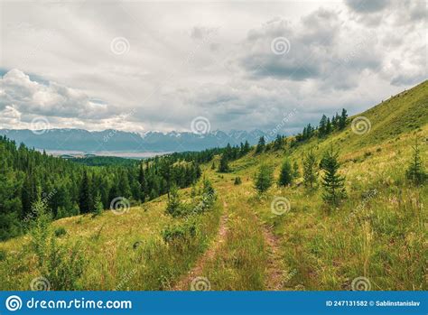 Minimalistic Green Mountains Landscape With Old Dirt Road Overgrown