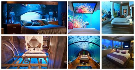 Great prices on exquisite bedroom. The Most Amazing Aquarium Bedrooms That Will Astonish You