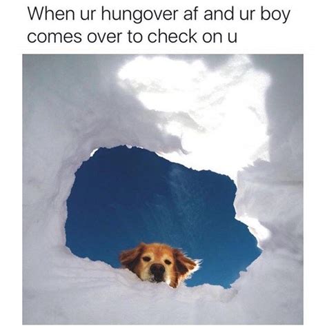30 Doggo Memes That Will Leave You Feeling Warm And Fuzzy Dog Facts