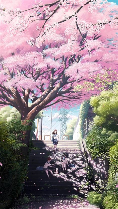 Anime Cherry Trees Wallpapers Wallpaper Cave