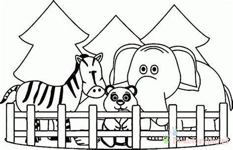 Zwierzęta Zoo Kolorowanki Dla Dzieci Kolorowanki Do Wydrukowania