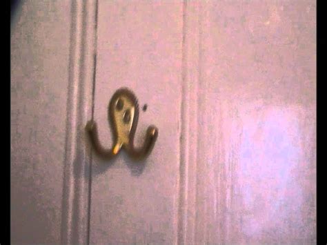 Drunk Octopus Wants To Fight You Youtube