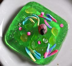 Animal cells are the basic unit of life in organisms of the kingdom animalia. Animal and plant cell project idea. Foam is awesome to ...