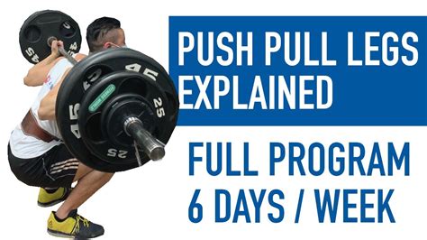 Best Push Pull Legs Split For Beginners Full Program Explained