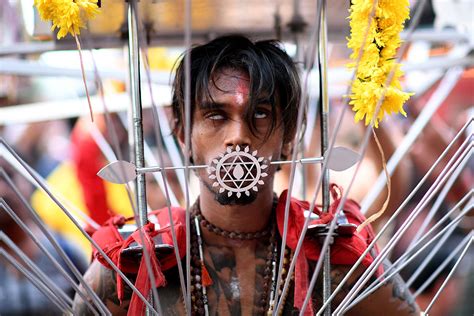 The festival of thaipusam was brought to malaysia in the 1800s, when indian immigrants started to work on the malaysian rubber estates and. Hindu devotees pierce their bodies with metal rods for ...